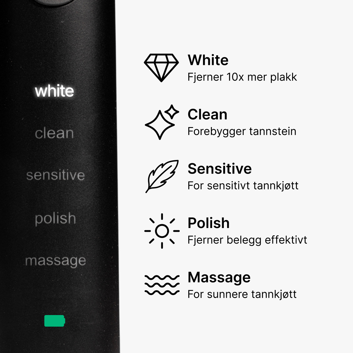 D2 Pro Elektrisk Tannbørste
